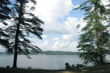 Sebago lake through trees